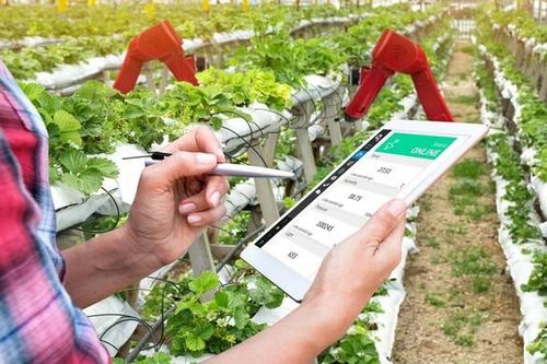 Ninh Bình: Từng bước đưa chuyển đổi số vào phát triển nông nghiệp