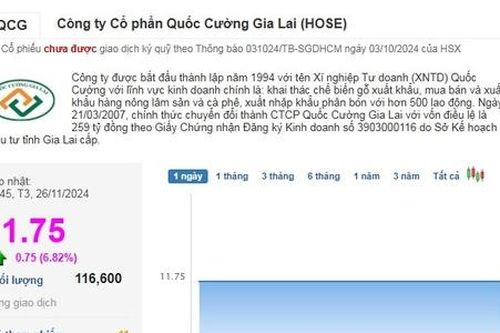 Cổ phiếu của Quốc Cường Gia Lai 'phấn khởi' tăng trần