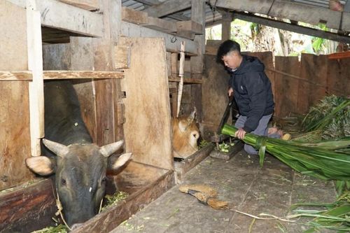 Bảo Lâm vận động ủng hộ Quỹ 'Hỗ trợ nông dân' được trên 599 triệu đồng