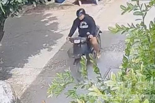 Được người dân cung cấp thông tin, công an bắt nhanh đối tượng cướp giật