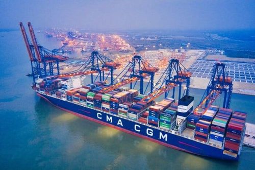 Hãng tàu container đặt cược vào nhiên liệu kép để đảm bảo cho tương lai ngành