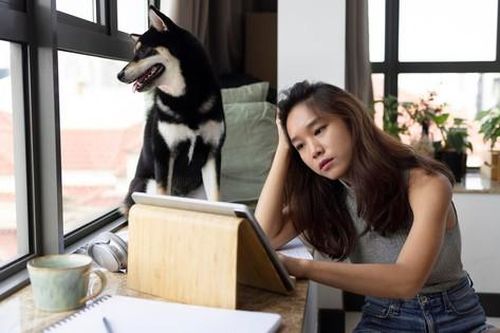 Giỗ đầu của bố, tôi về quê thì phát hiện ra mình bị mất quyền thừa kế, mọi việc đã được anh tôi tính toán cặn kẽ từ 1 năm trước