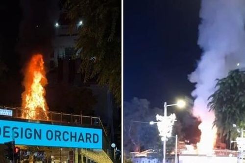 Cây thông Noel bốc cháy rừng rực, người dân tưởng lửa giả nên không gọi cứu hỏa