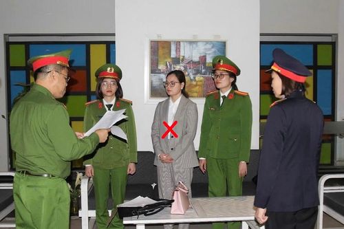 Vì sao nữ Cục Trưởng Cục Hải quan Hà Nam Ninh bị bắt?