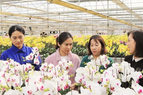 Sơn La phát triển nông nghiệp gắn với du lịch