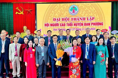 Phát huy vai trò của người cao tuổi xây dựng huyện Đan Phượng giàu đẹp