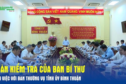 Đoàn kiểm tra của Ban Bí thư làm việc với Ban Thường vụ Tỉnh ủy Bình Thuận