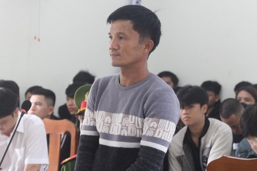 Xài bằng lái giả, lãnh án thật!