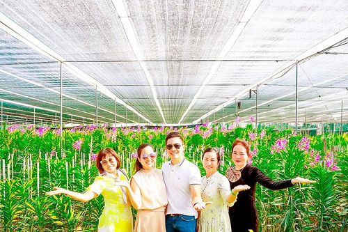 Nông nghiệp đô thị: Hiệu quả ứng dụng công nghệ cao, gắn kết du lịch