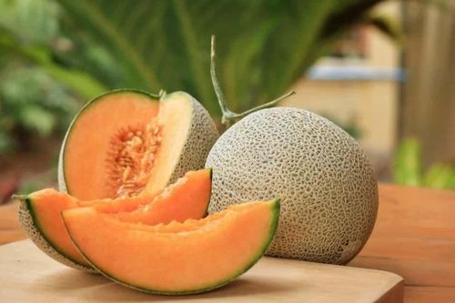 Sinh viên sáng chế than hoạt tính bảo quản dưa lưới tươi lâu