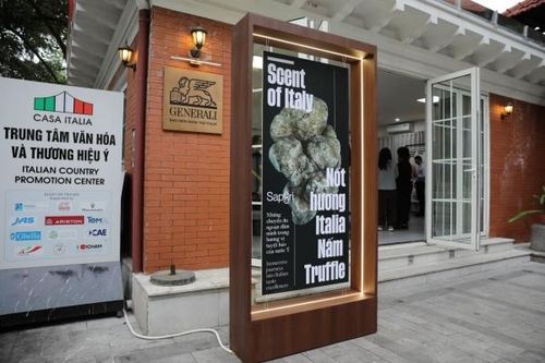 Khám phá vẻ đẹp huyền bí của nấm truffle - 'viên ngọc trai đen' của ẩm thực Italy
