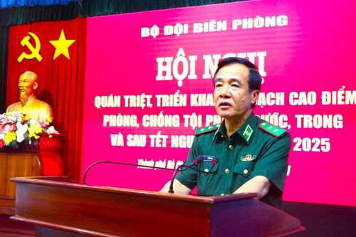 Kiên quyết đấu tranh hiệu quả các loại tội phạm, chống buôn lậu, gian lận thương mại và hàng giả dịp Tết Nguyên đán Ất Tỵ