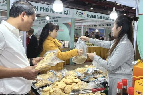 Liên hoan ẩm thực Quảng Ninh 2024 - điểm đến hội tụ tinh hoa ẩm thực