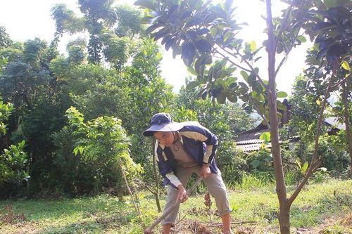 Đảng viên trẻ làm gương tuyên truyền giúp bà con phát triển kinh tế