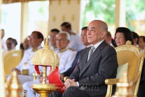 Chuyến thăm của Quốc vương Norodom Sihamoni góp phần tăng cường tin cậy chính trị Việt Nam - Campuchia