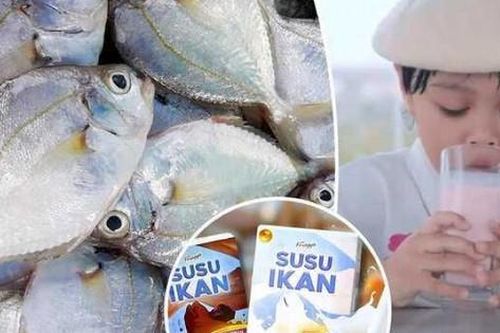 Quốc gia Đông Nam Á gây sốt khi sản xuất sữa từ cá