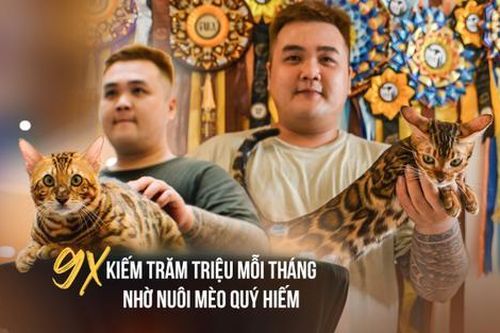 Chàng trai 9X TPHCM kiếm trăm triệu mỗi tháng nhờ nuôi giống mèo quý hiếm