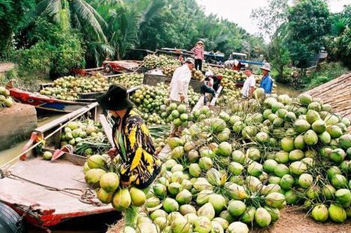 Khu chợ quanh năm chỉ bán duy nhất một đặc sản Bến Tre, lúc nào cũng tấp nập khách