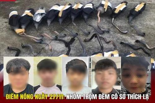 Điểm nóng 27/11: Nhóm trộm đêm có sở thích lạ