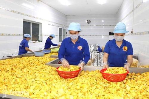 Khai thác lợi thế thu hút đầu tư chế biến nông sản