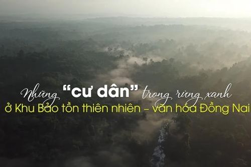 Những 'cư dân' trong rừng xanh ở Khu Bảo tồn thiên nhiên - văn hóa Đồng Nai