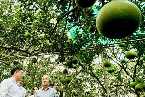 Đồng Nai giữ vị trí tốp đầu trong xây dựng nông thôn mới nâng cao