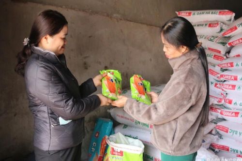 Chủ động các điều kiện cho sản xuất vụ đông