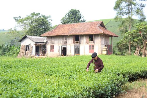 Người 'lãnh đạo không chức danh' ở Khu Mu Vố