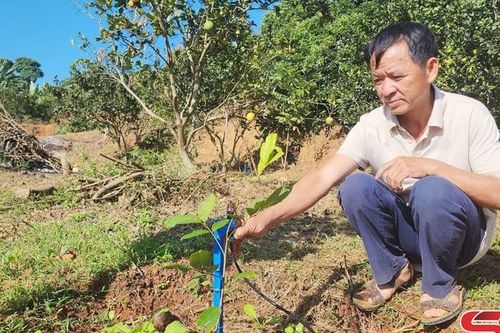 Huổi Một nỗ lực vươn lên