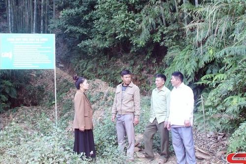 Nậm Lầu triển khai tốt chính sách chi trả dịch vụ môi trường rừng