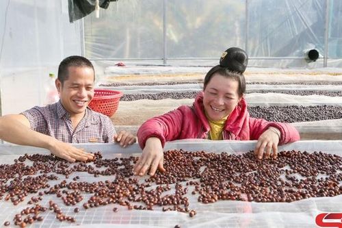 Thu hút đầu tư, nâng cao giá trị nông sản