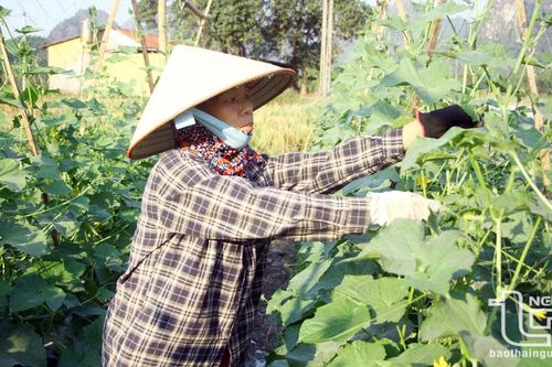 Xây dựng nông thôn mới: Chặng nước rút không dễ dàng - (bài 2) Nỗ lực tăng tốc