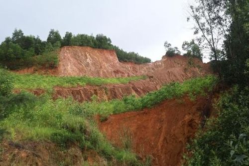 Quảng Ngãi đôn đốc cải tạo, phục hồi môi trường sau khai thác khoáng sản