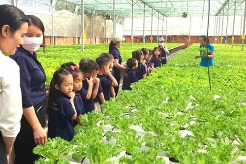 TP. Hồ Chí Minh bàn giải pháp phát triển du lịch nông nghiệp