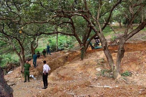 Xử phạt chủ đất nơi khai thác vàng trái phép ở Bình Phước