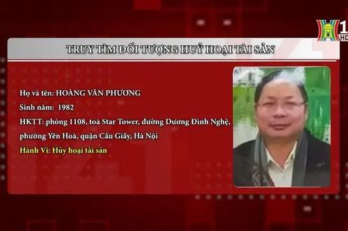Thạch Thất: Truy tìm đối tượng hủy hoại tài sản