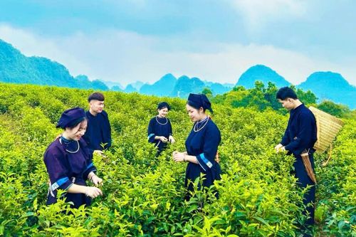 Đẩy mạnh hỗ trợ phát triển du lịch cộng đồng