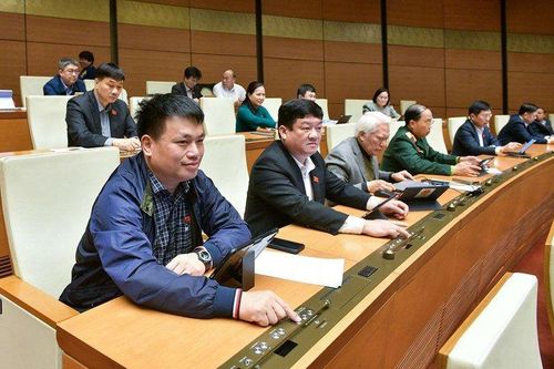 Dành 22,4 nghìn tỷ đồng cho công tác phòng, chống ma túy