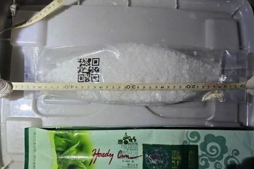 Bắt giữ đối tượng tàng trữ 1 kg ma túy đá cùng gần 5.000 viên MTTH