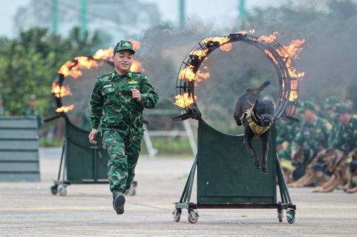 Quân khuyển vượt lửa, tập luyện cho Lễ khai mạc Triển lãm Quốc phòng quốc tế