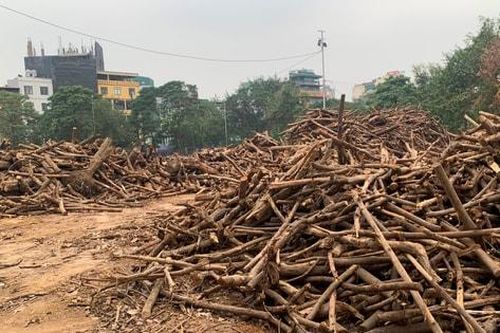 Cải tạo Công viên Tuổi trẻ Thủ đô: Vẫn 'giậm chân tại chỗ'