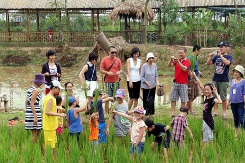 TP Hồ Chí Minh: Du lịch nông nghiệp, vì sao chưa phát triển mạnh?