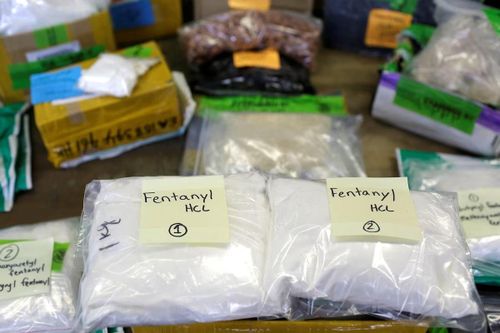 Vì sao ông Trump quyết tăng thuế Trung Quốc vì khủng hoảng fentanyl