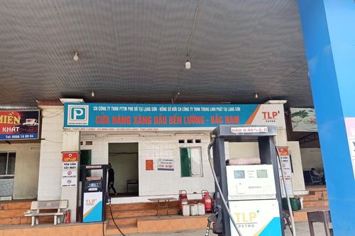 Tước giấy phép kinh doanh của 'đại gia' xăng dầu Ninh Bình