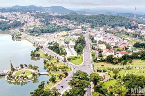 Rừng ít dần trong phố Đà Lạt