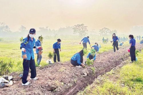 Hành động để Thủ đô thêm xanh