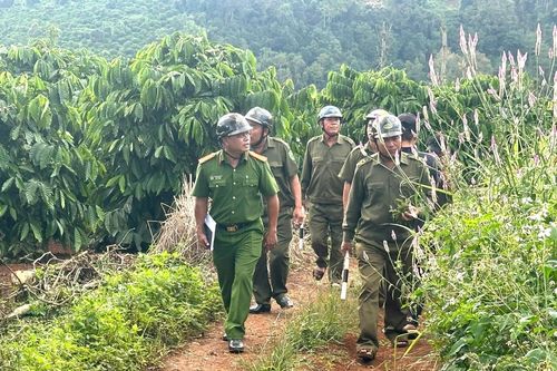 Phát huy vai trò của các Tổ Bảo vệ ANTT ở cơ sở trong công tác bảo vệ ANTT mùa thu hoạch nông sản