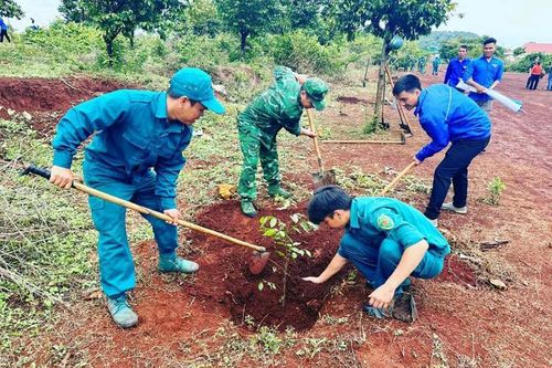 Ngày mới ở Ia Dom