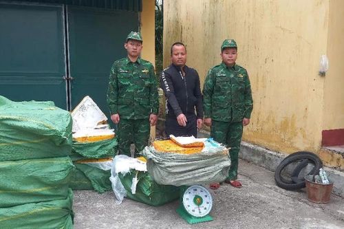 Bắt giữ đối tượng vận chuyển 880kg nầm lợn đông lạnh không rõ nguồn gốc