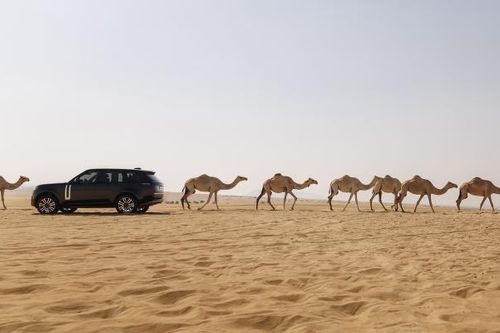 Xe sang thuần điện đầu tiên của Range Rover sắp trình làng